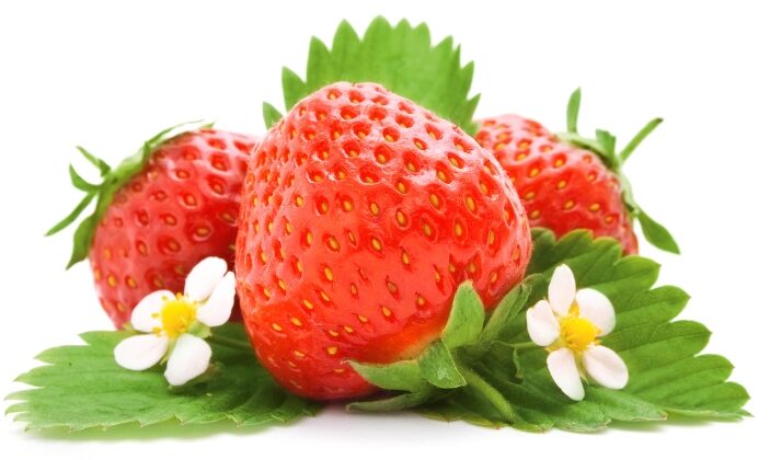 Hoffelner Erdbeeren mit Erdbeerblüten und Erdbeerblättern vom Feld