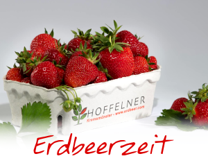 Erdbeerzeit, frische Erdbeeren sind in einer Hoffelner-Kartontasse gefüllt und präsentiert