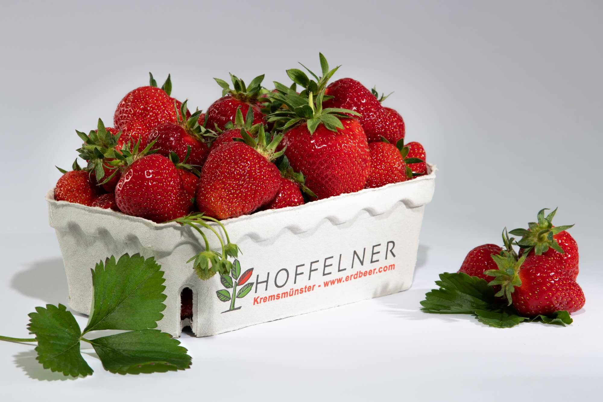 Frische Hoffelner Erdbeeren; Allgemeines